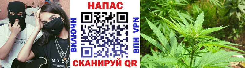 Бошки марихуана Ganja  kraken вход  Вяземский 